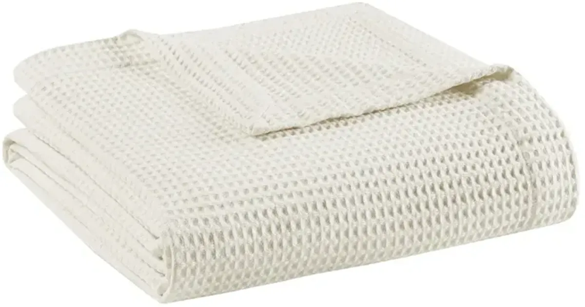 Beautyrest Cotton Waffle Weave Ivory Cotton Blanket