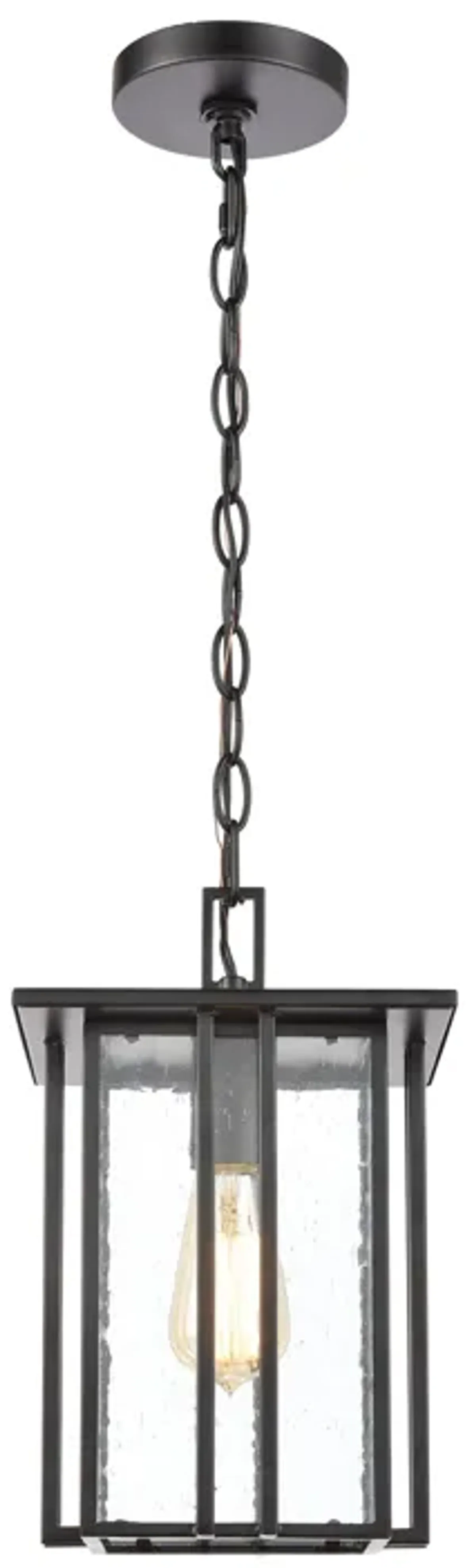 Radnor 8" Wide 1-Light Outdoor Pendant - Matte Black