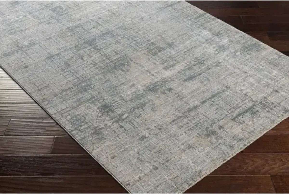 Brunswick BWK-2301 2'7" x 7'3" Rug