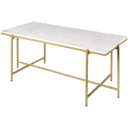 Anaya ANA-007 18"H x 46"W x 22"D Coffee Table