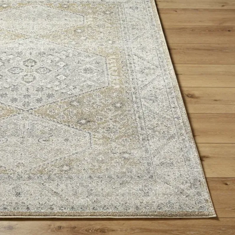 Alpharetta APH-2315 6'7" x 9' Machine Woven Rug