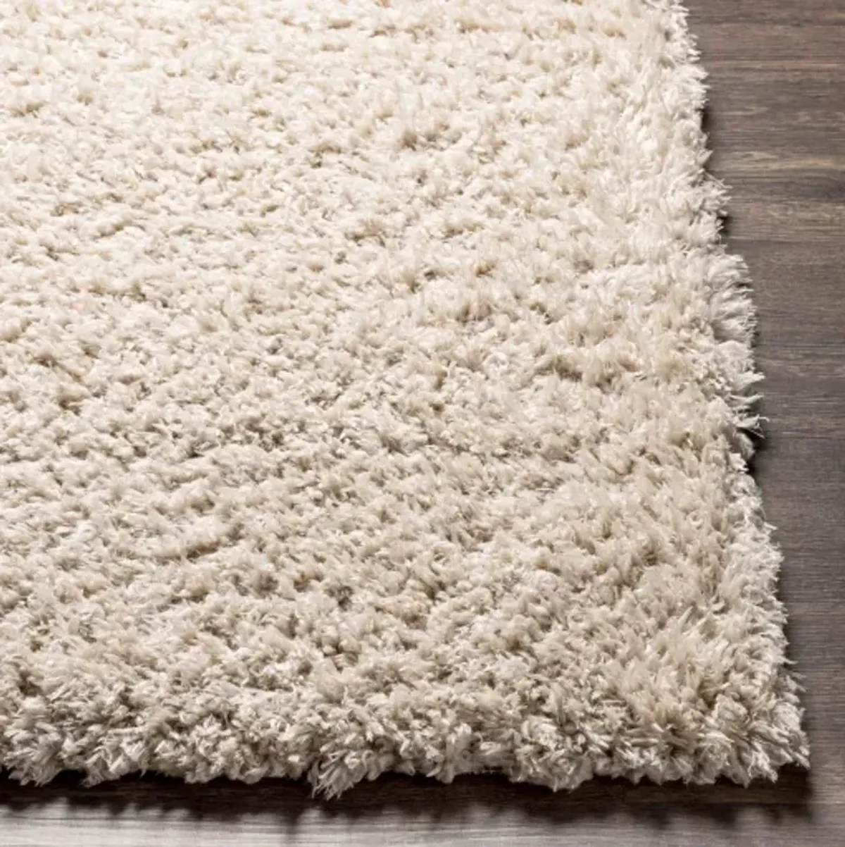 Angora 2'3" x 3'9" Rug