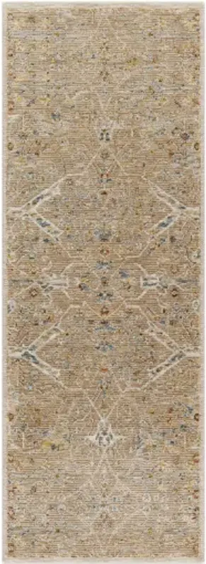 Reina REN-2300 2'7" x 10' Rug