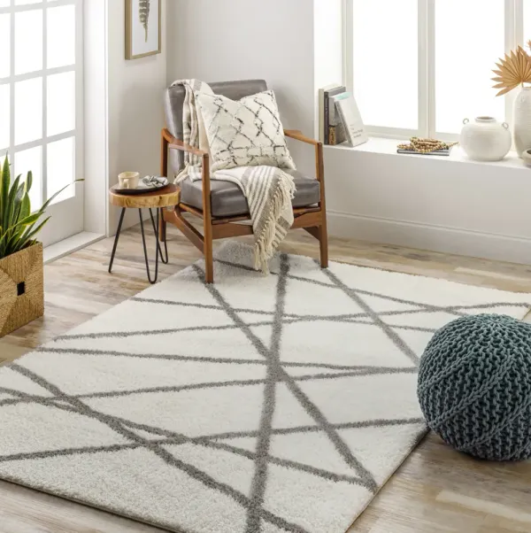 Cloudy Shag CDG-2316 7'10" x 10' Machine Woven Rug