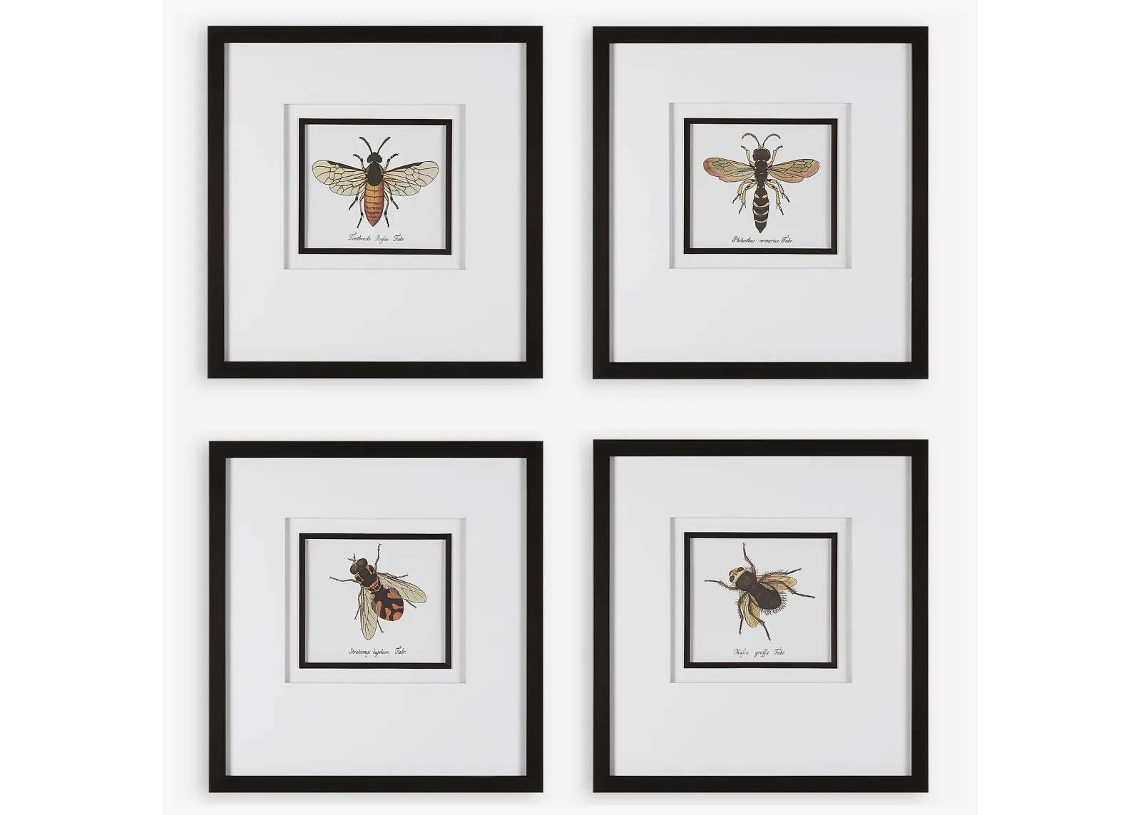 Anthophila Framed Prints, S/4