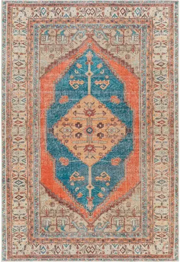 Tahmis 5'3" x 7'3" Rug