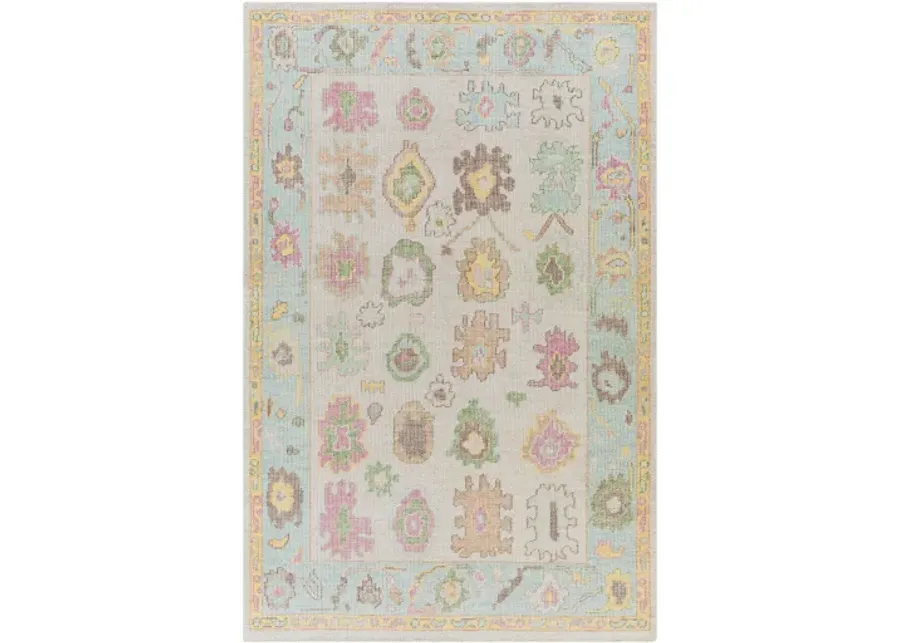 Kars 4' x 6' Rug