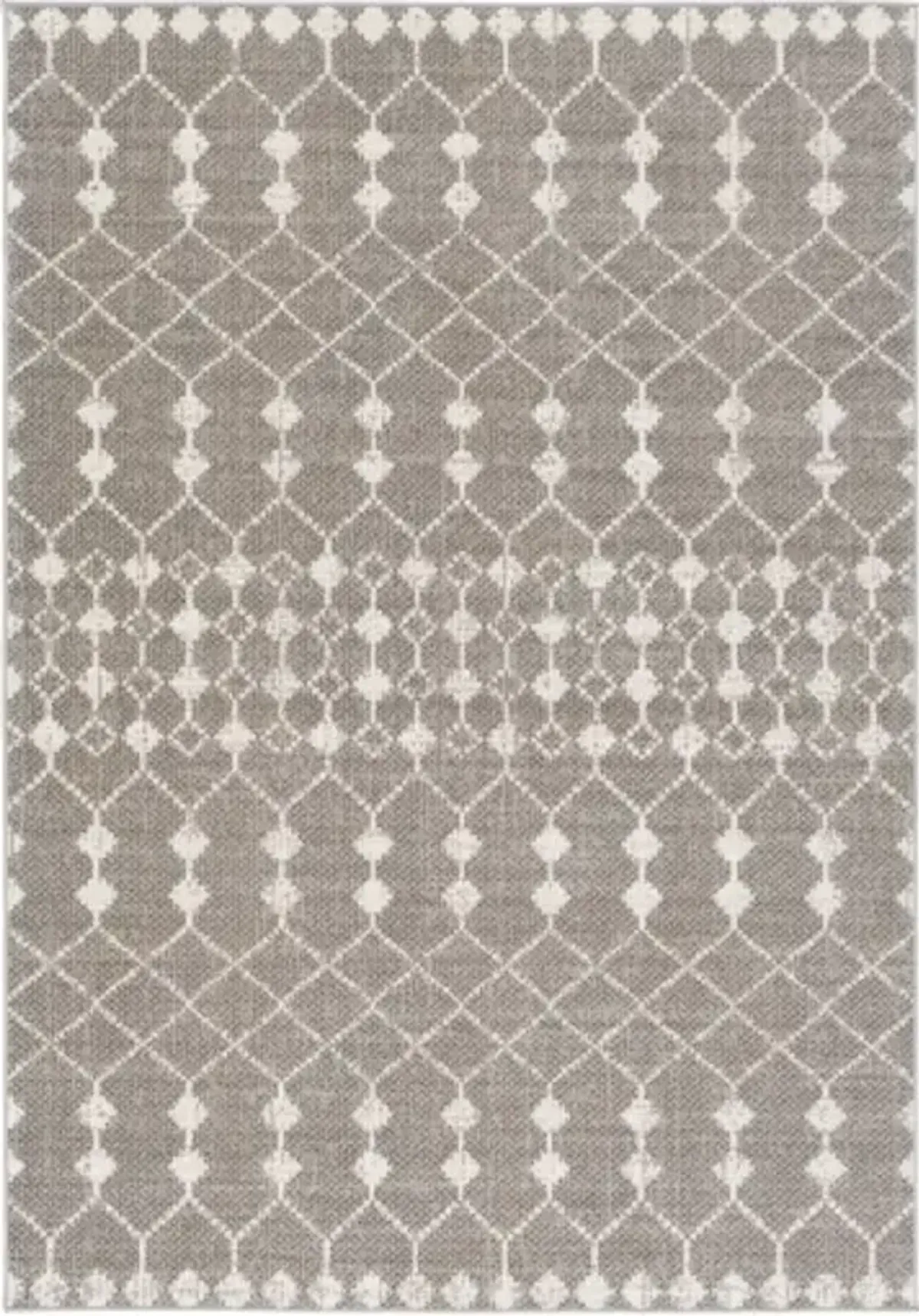 Rafetus 5'3" x 7'7" Rug