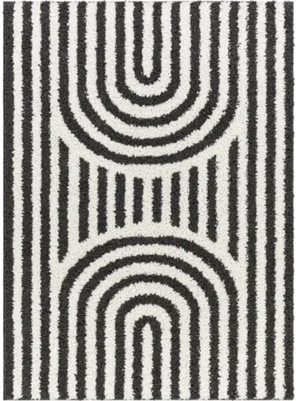Birmingham BMM-2304 5'3" x 7' Machine Woven Rug
