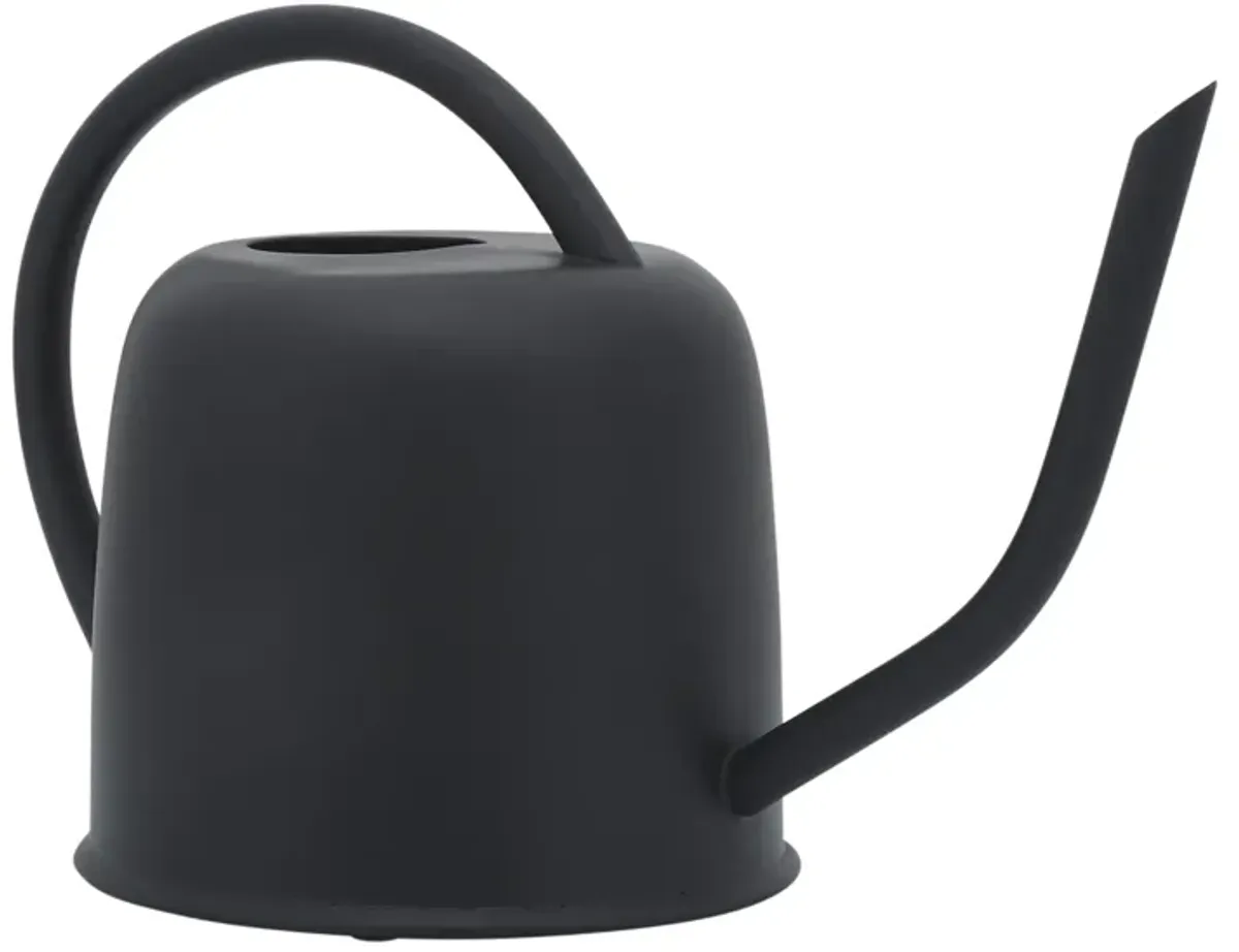 Metal 7"h Watering Can, Black