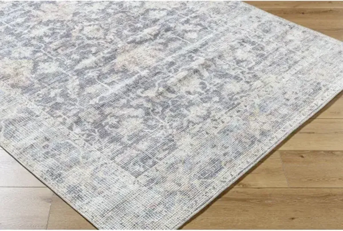 Olympic PNWOL-2304 2'2" x 3'9" Machine Woven Rug