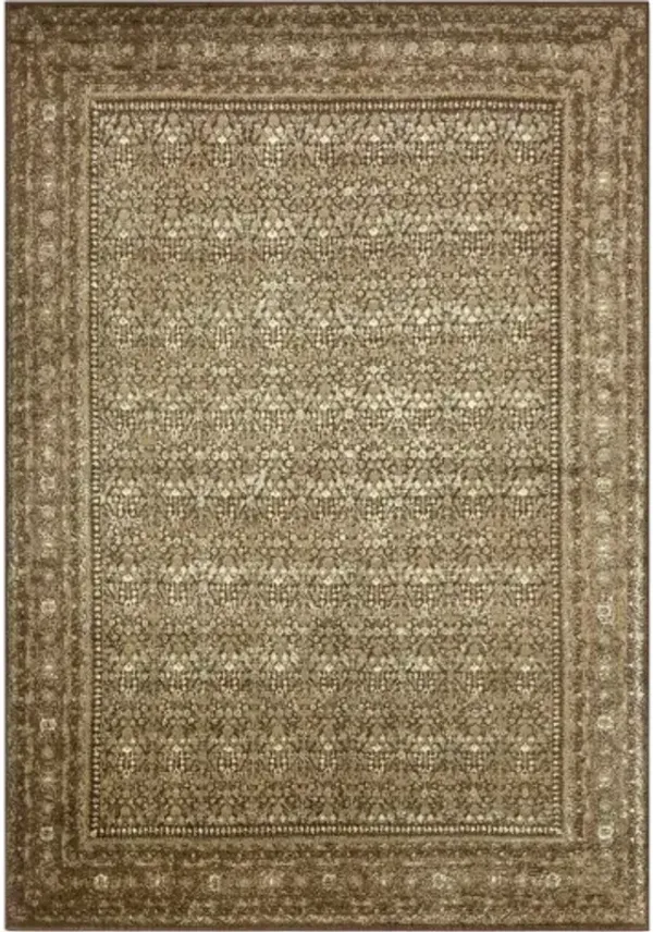 Paramount 7'10" x 11'2" Rug