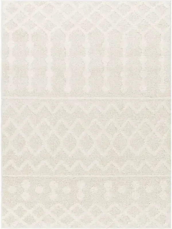 Rodos RDO-2343 6'7" x 9' Machine Woven Rug