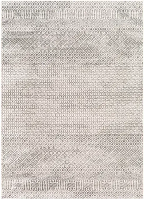Pisa 5' x 7' Rug