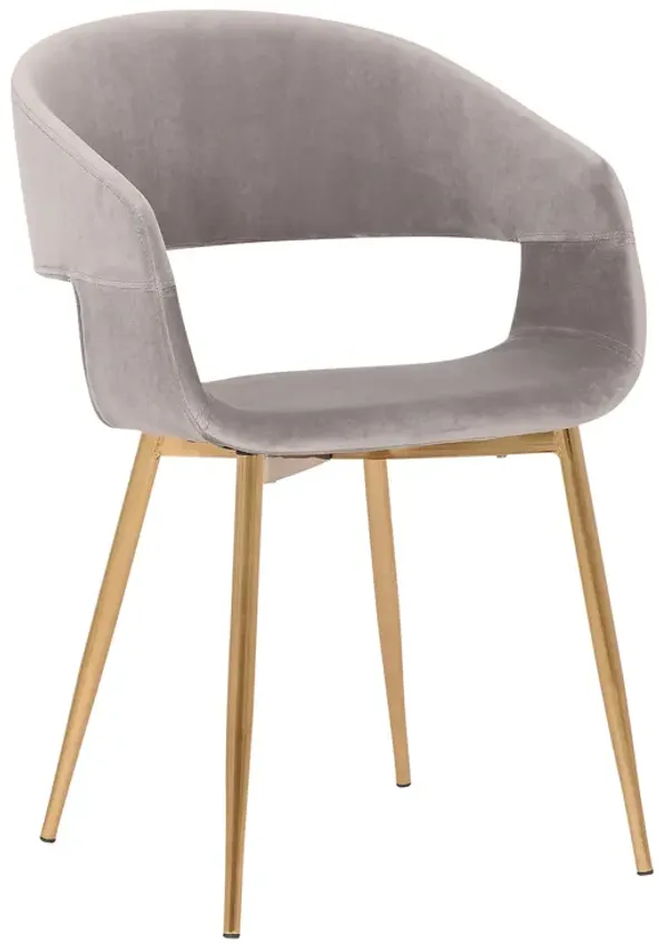 Jocelyn Mid-Century Gray Dining Accent Chair with Gold Metal Legs