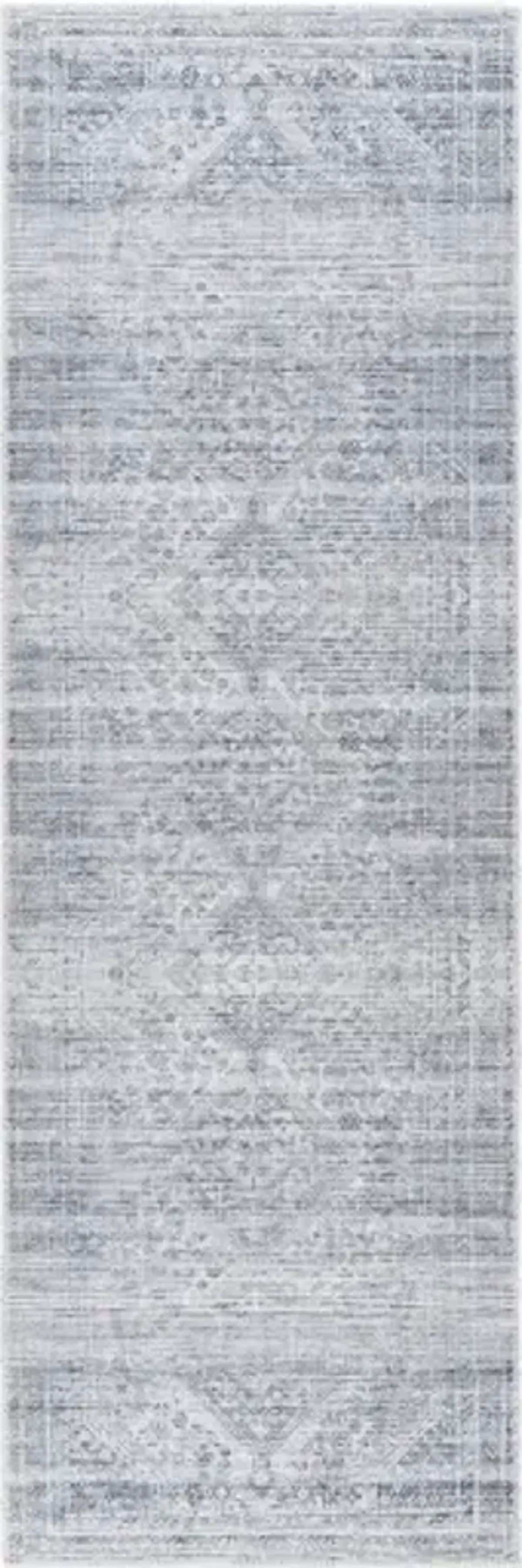 Amelie AML-2381 2'7" x 7'10" Machine Woven Rug