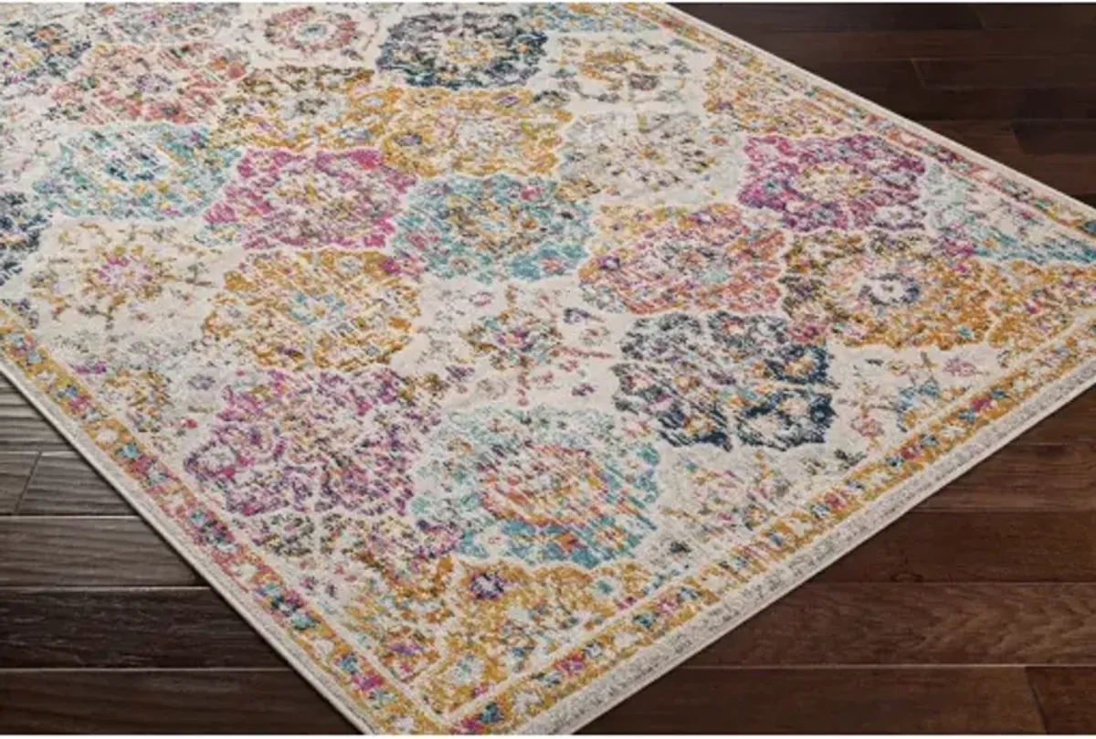 Harput HAP-1018 2'7" x 16' Rug