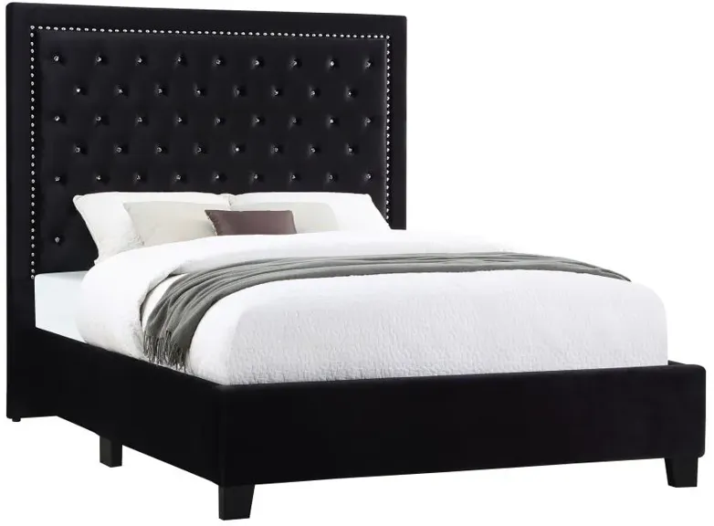 Hailey Upholstered Tufted Platform Queen Bed Black