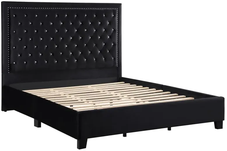 Hailey Upholstered Tufted Platform Queen Bed Black