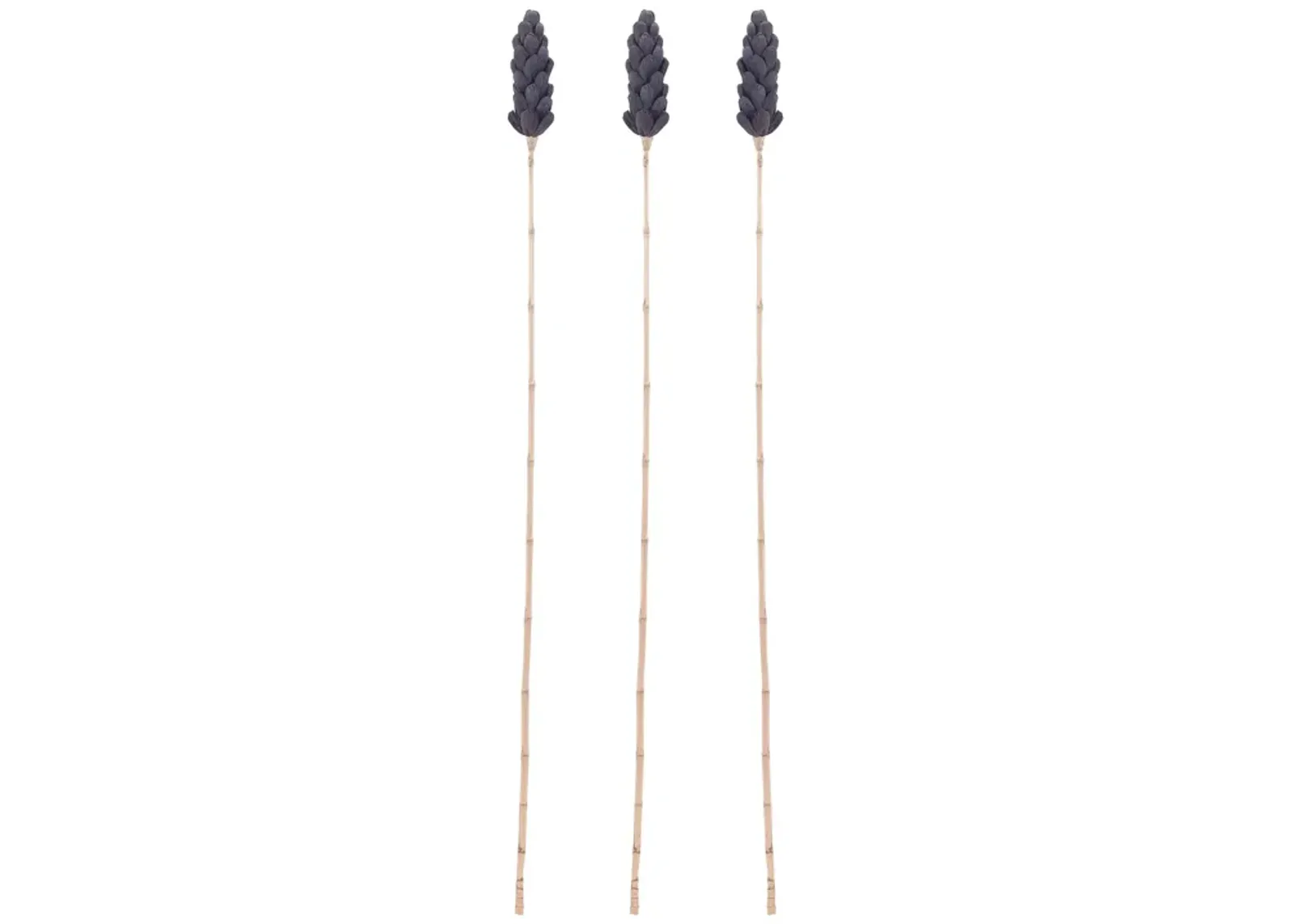 Bronze Corn Leaf Stem (Set of 3)