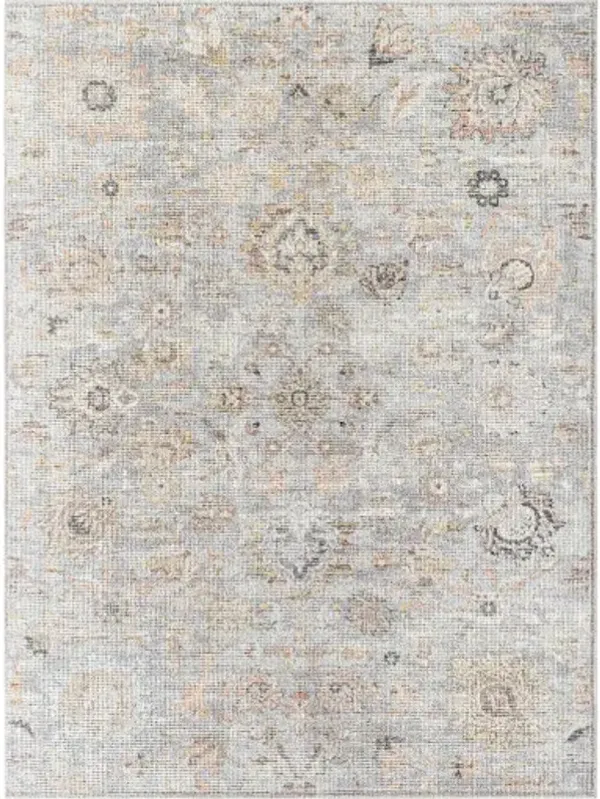 Olympic PNWOL-2301 2'2" x 3'9" Machine Woven Rug