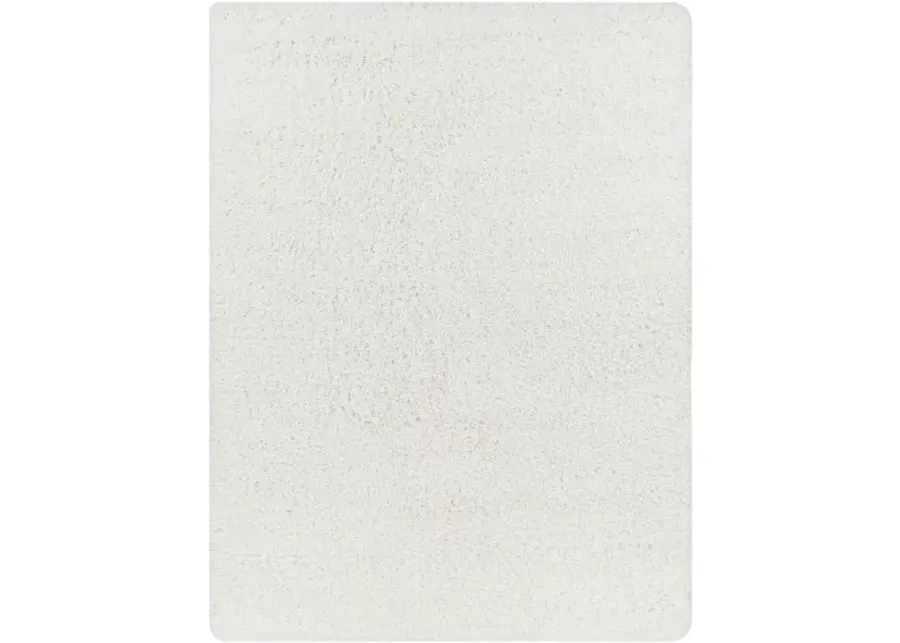 Bogota Shag BTG-2300 5'3" x 7' Machine Woven Rug