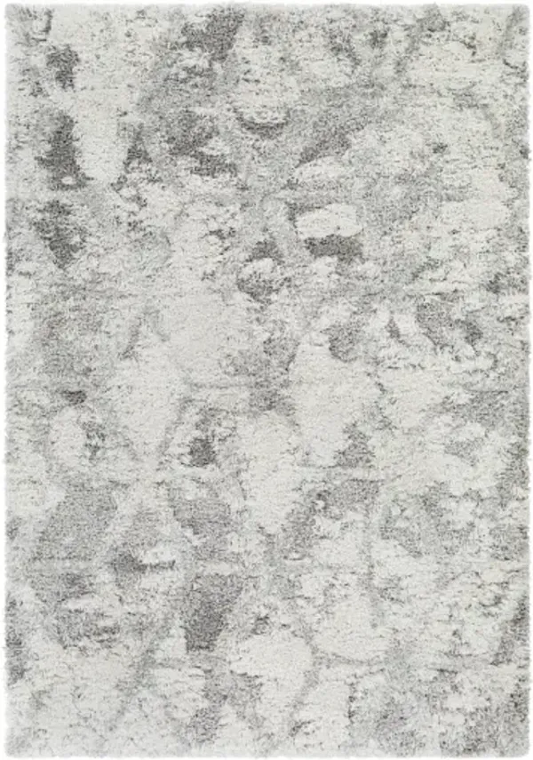Alta shag 5'3" x 7' Rug