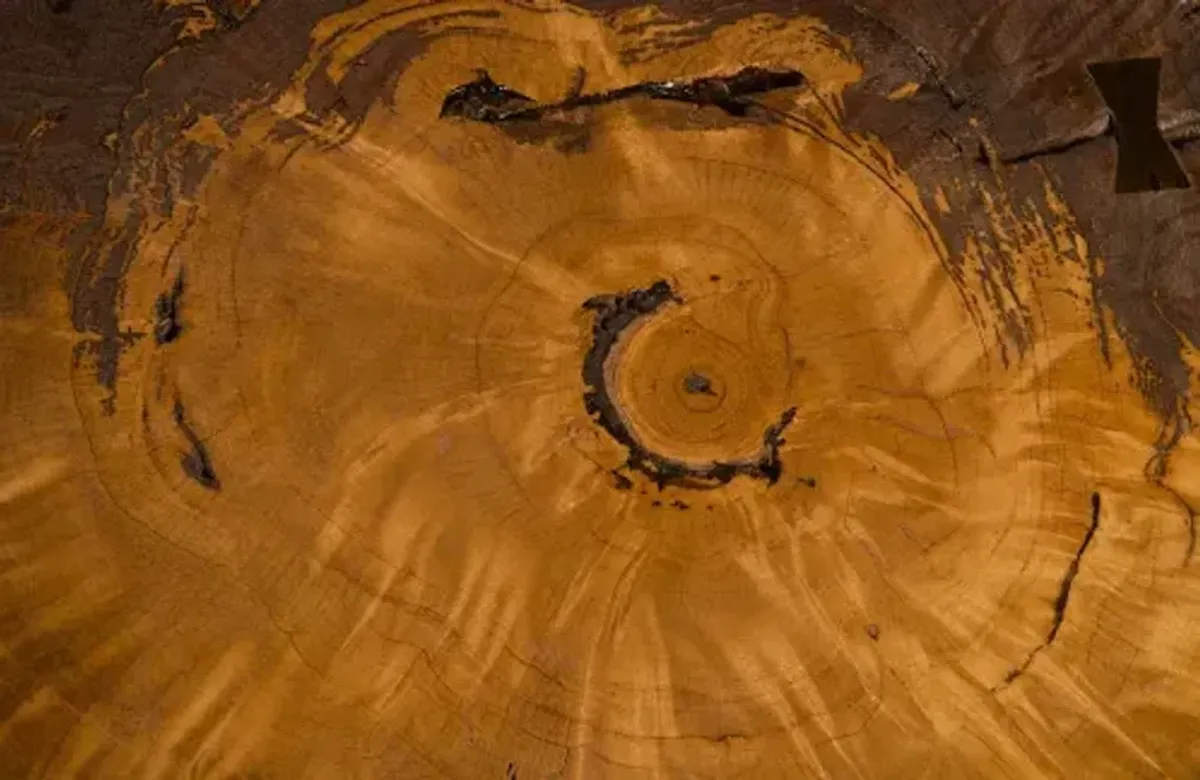 Wood Coffee Table