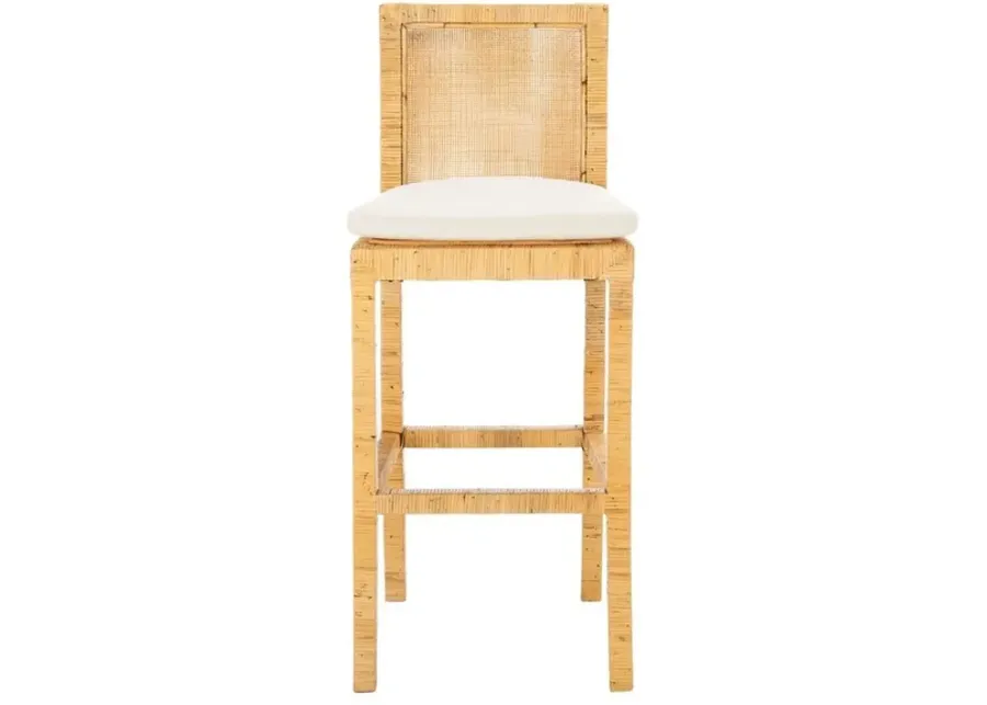 TOJO CANE BAR STOOL W/ CUSHION