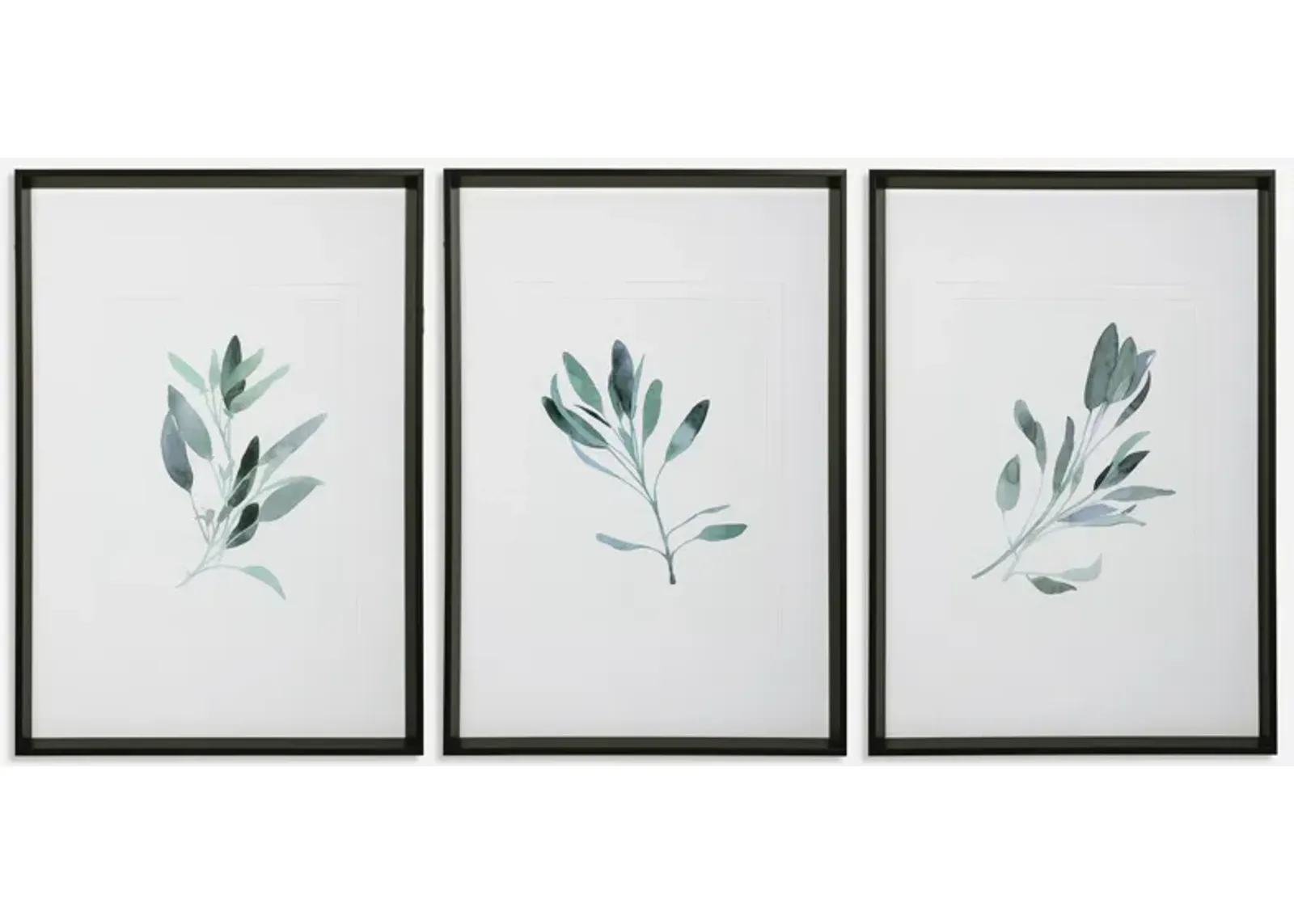 Simple Sage Watercolor Prints - Set of 3