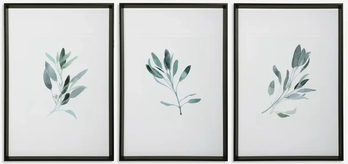 Simple Sage Watercolor Prints - Set of 3