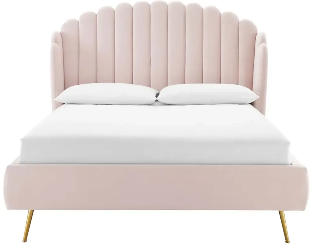 Lana Queen Performance Velvet Wingback Platform Bed