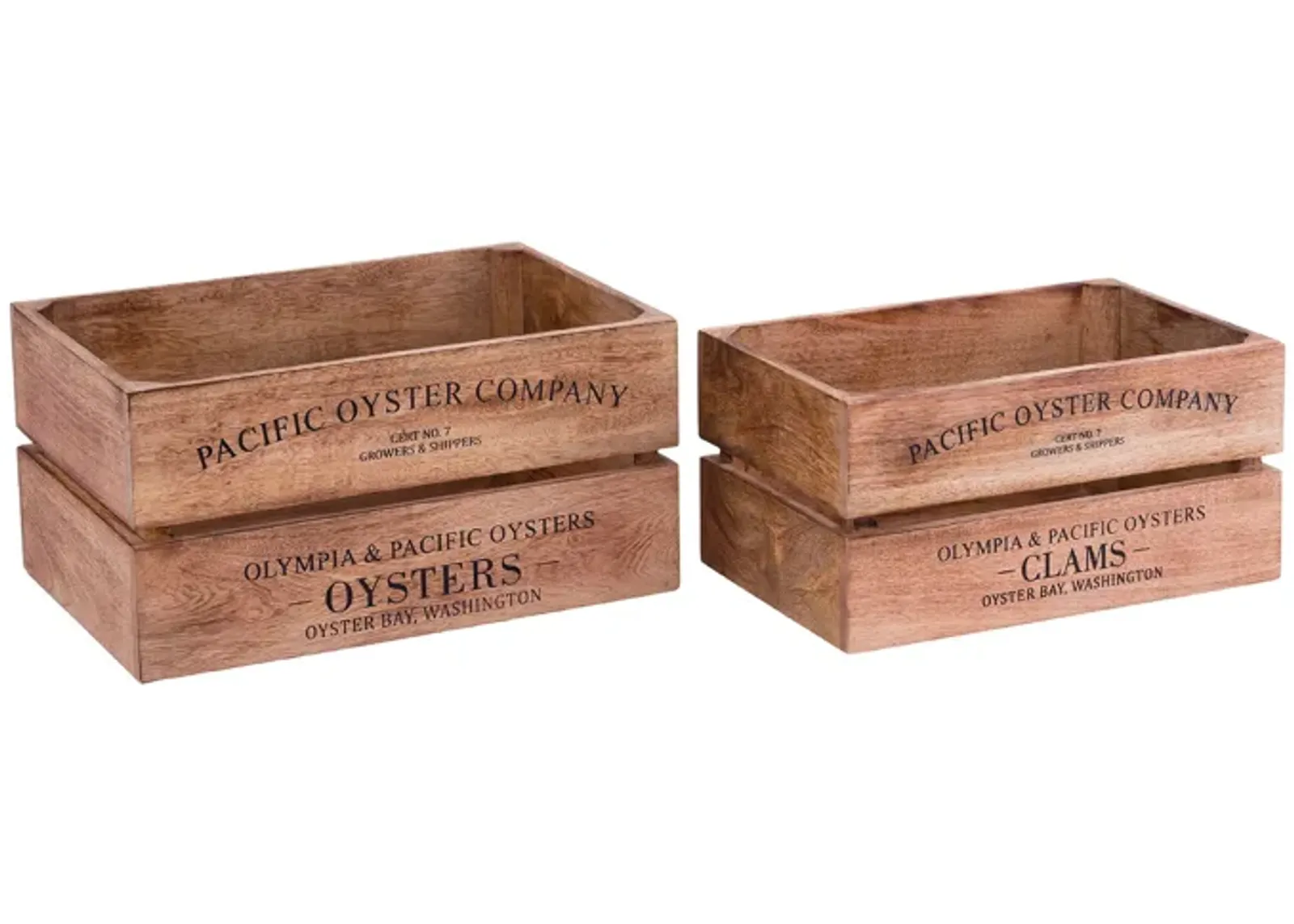 Oysters and Clams Boxes (Set of 2)