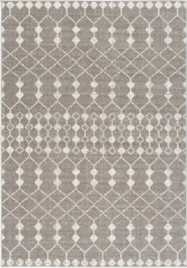 Rafetus 5'3" x 7'7" Rug