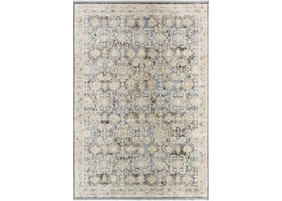 Rivaldo RVD-2306 2'4" x 3'9" Machine Woven Rug