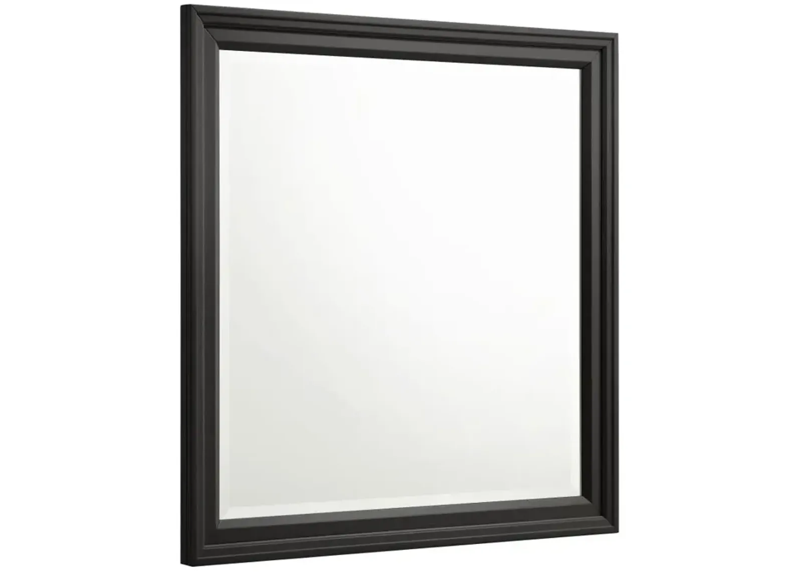 Sandy Beach Vertical Dresser Mirror Black