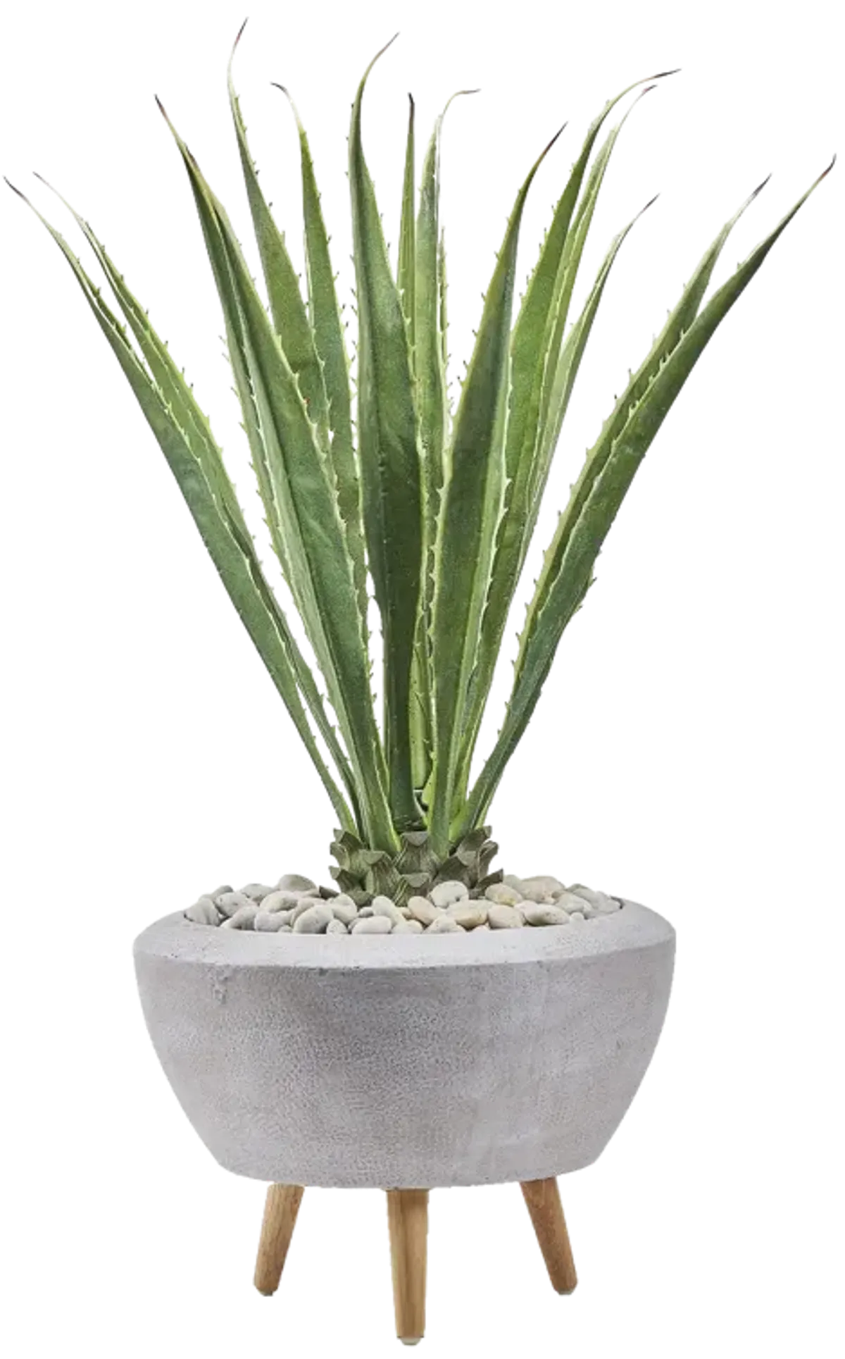 Agave Plant in White Bowl with Wood Legs