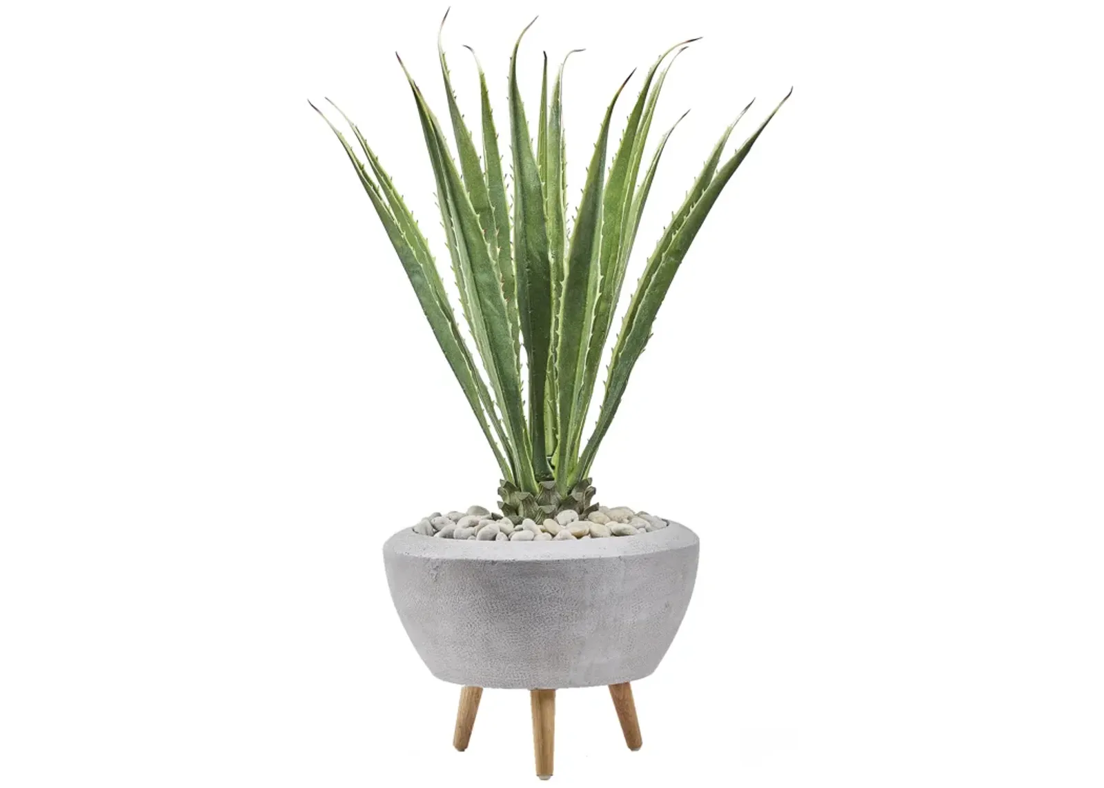 Agave Plant in White Bowl with Wood Legs