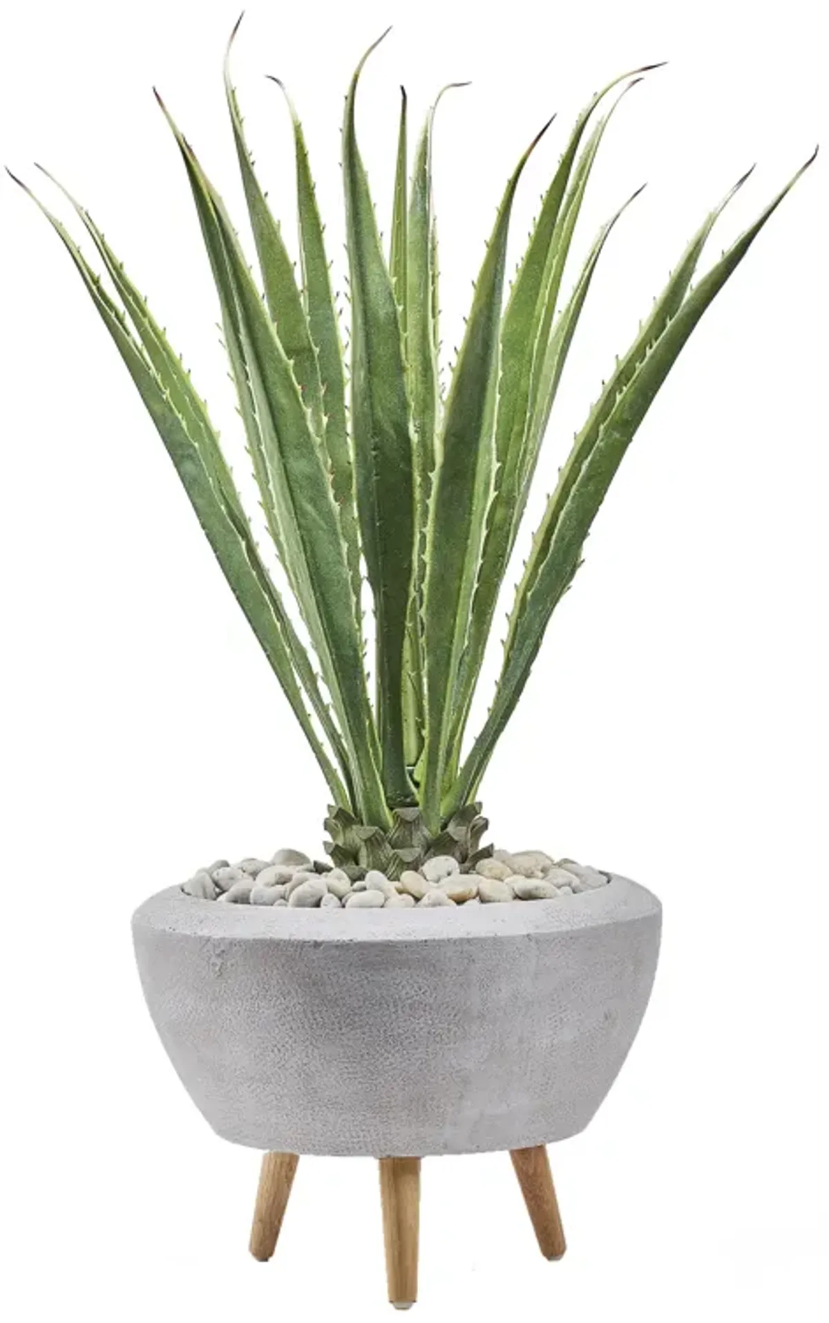 Agave Plant in White Bowl with Wood Legs