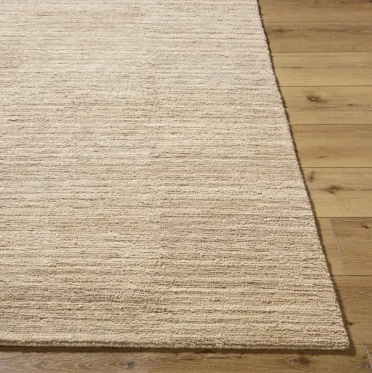 Ventura VNR-2300 2' x 3' Handmade Rug