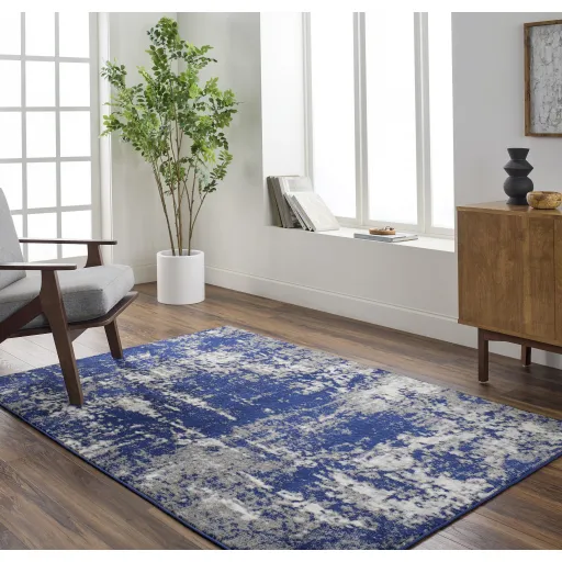 Pisa PSS-2373 5' x 7' Machine Woven Rug