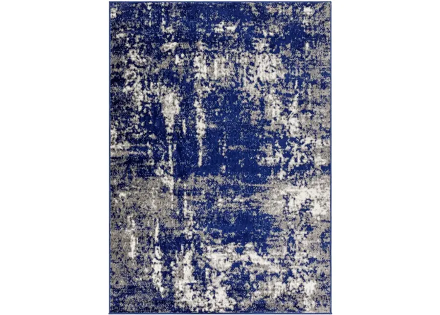 Pisa PSS-2373 5' x 7' Machine Woven Rug