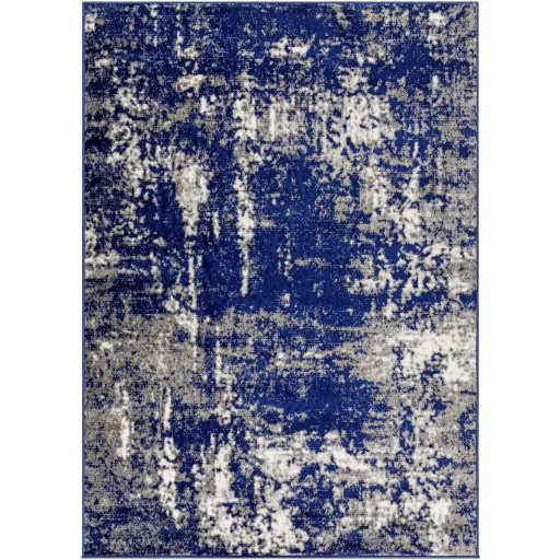 Pisa PSS-2373 5' x 7' Machine Woven Rug