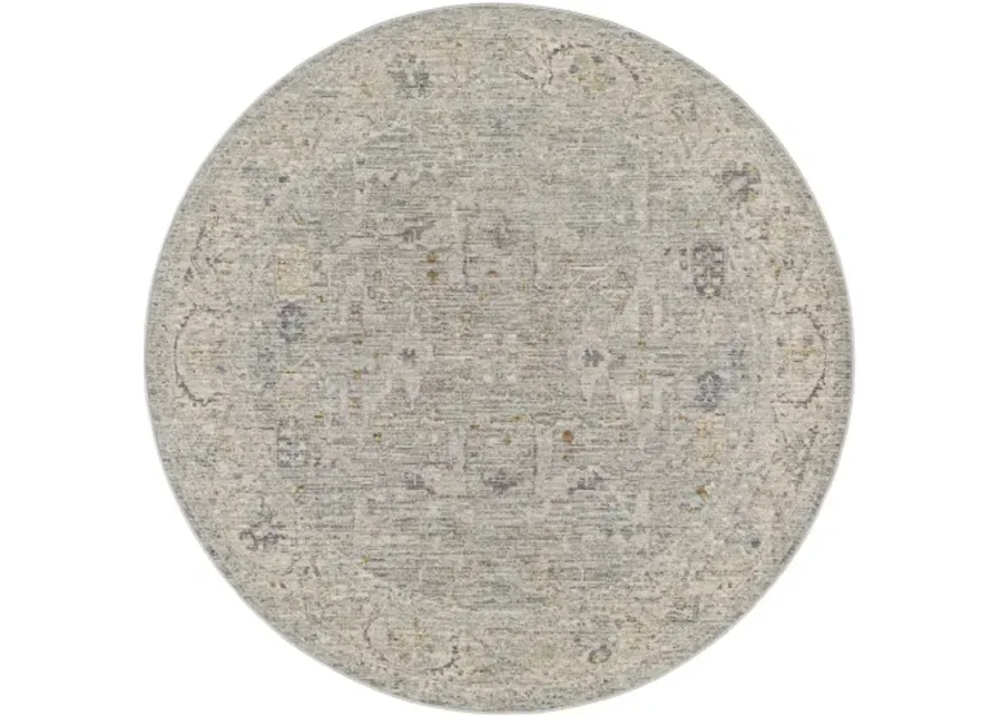 Avant Garde 10' x 14' Rug