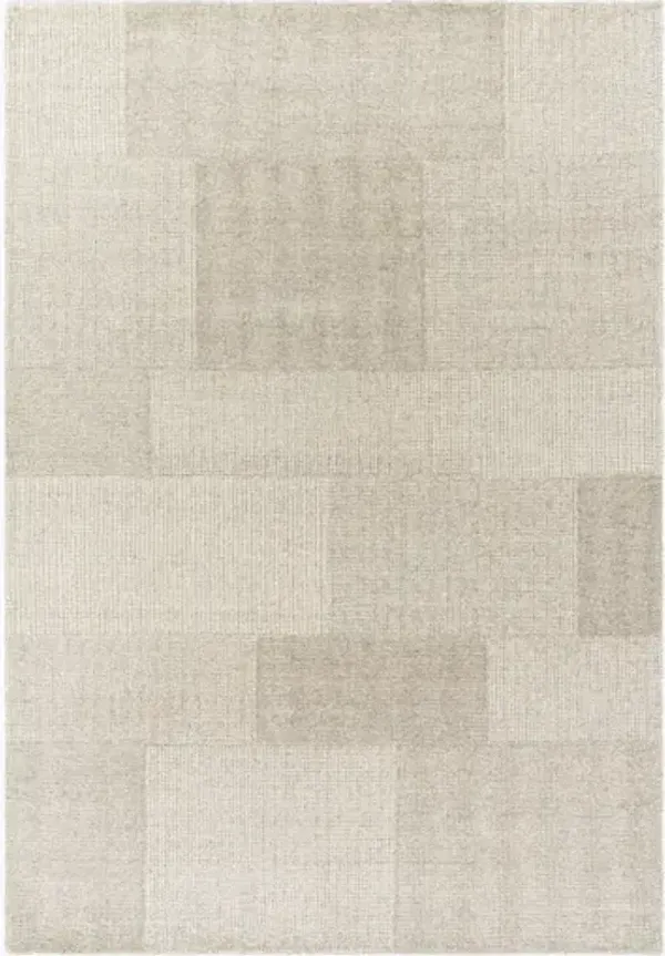 Las Palmas LSS-2301 2' x 3' Handmade Rug