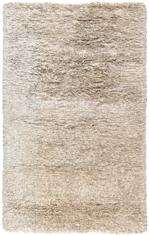 the ritz shag lt gray 2x3