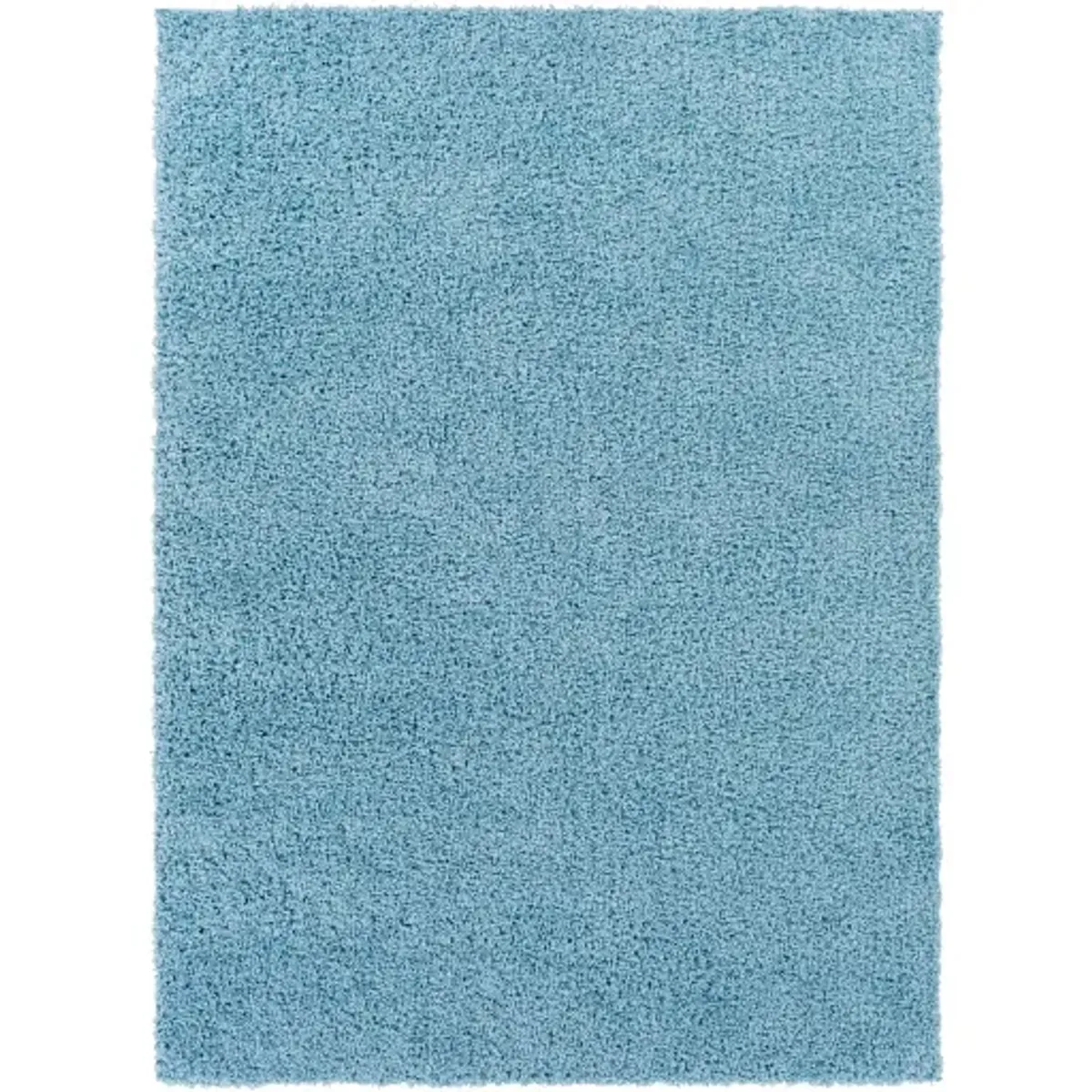 Bliss shag 5'3" x 7' Rug