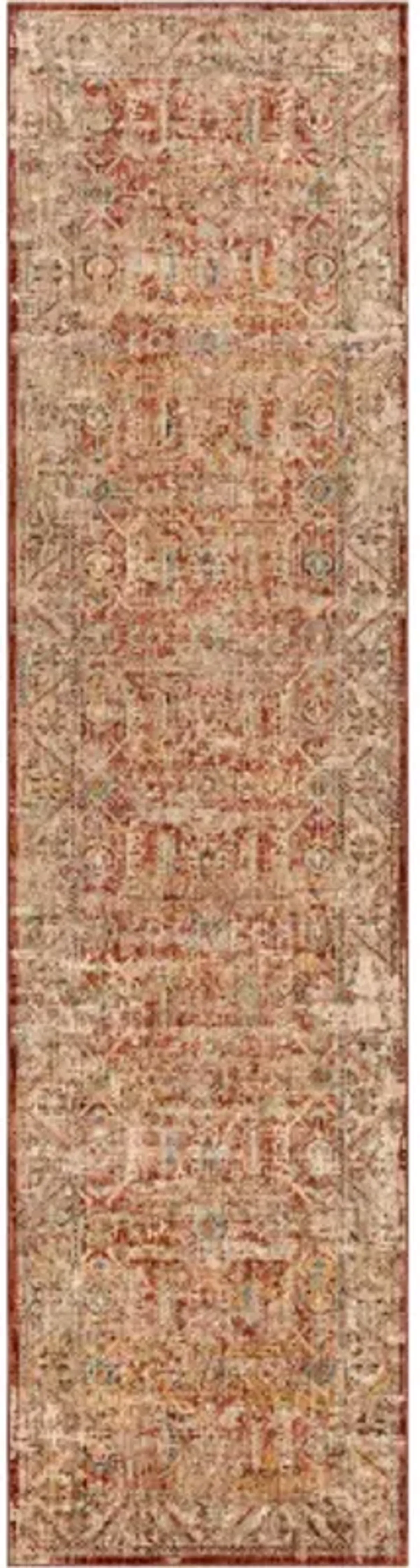 Aspendos APS-2312 2'7" x 7'3" Rug