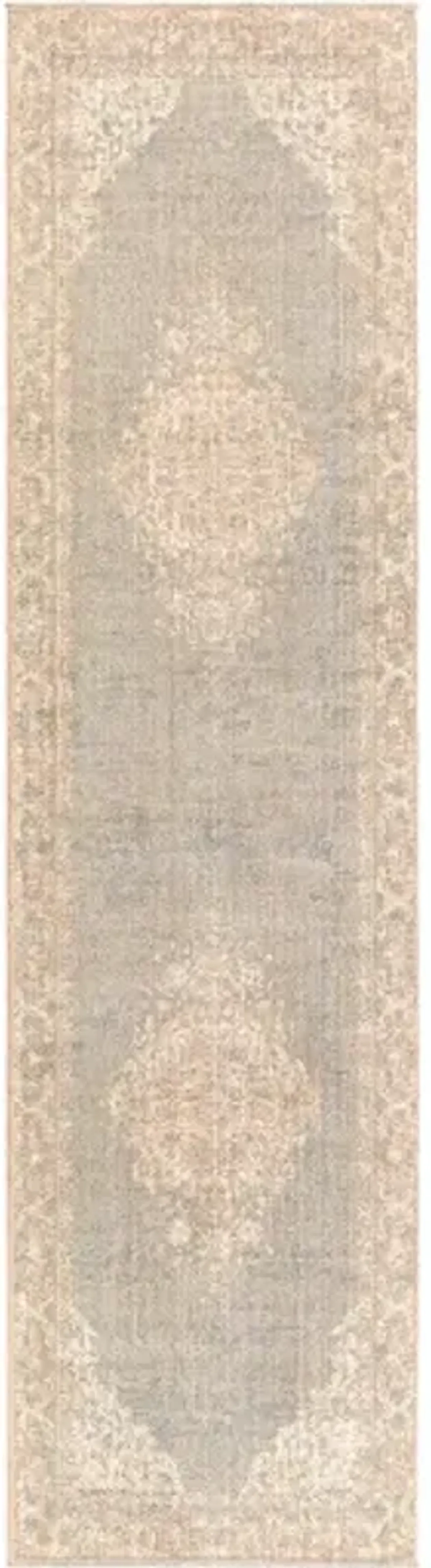Amore AMO-2323 2'6" x 10' Rug