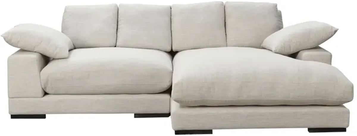 Plunge Sectional